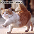 Аватар для Lolita