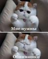 Аватар для KarmaXXX