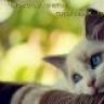Jane*